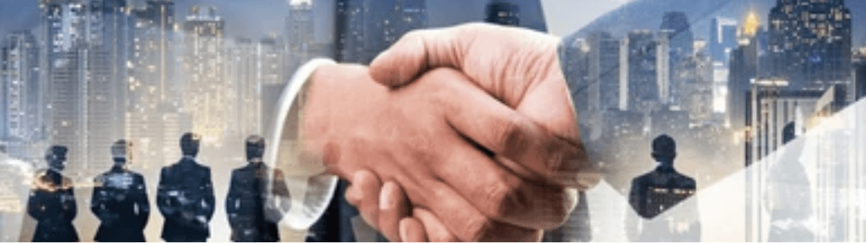Fellow of Fellows building institutional partnerships
